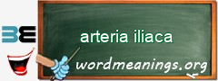 WordMeaning blackboard for arteria iliaca